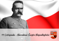 Wizerunek Piłsudskiego i herb Powiatu Płońskiego na tle flagi Polski oraz  napis 11 Listopada Święto Niepodległości