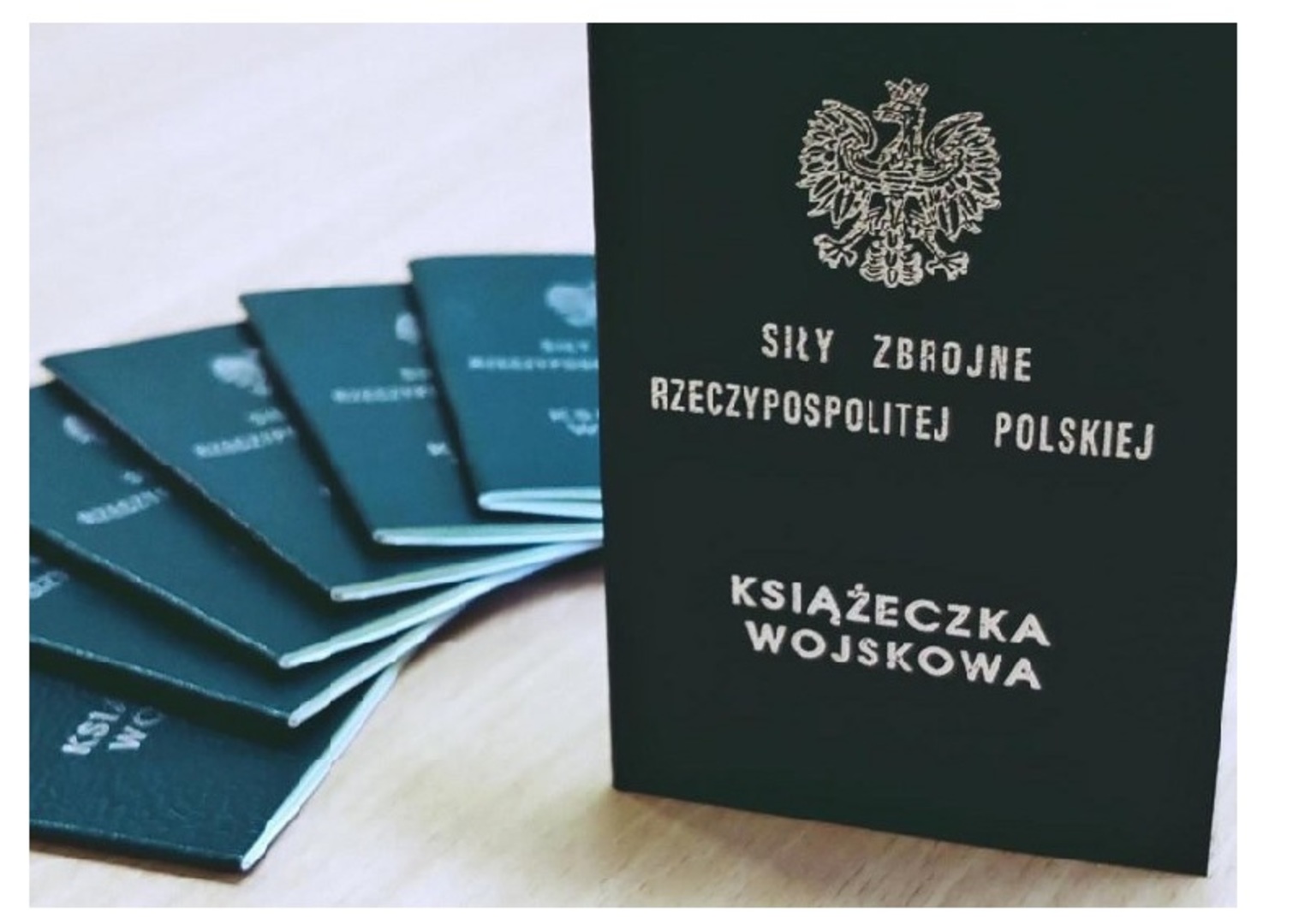 Kwalifikacja wojskowa 2023 - Powiat Płoński